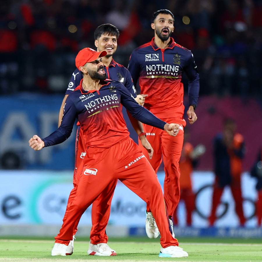 picture of cricket
