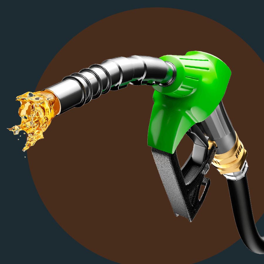 Oil crisis teaches us to think of alternative fuel, says economist dgtl