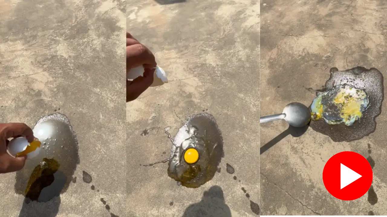 omlet