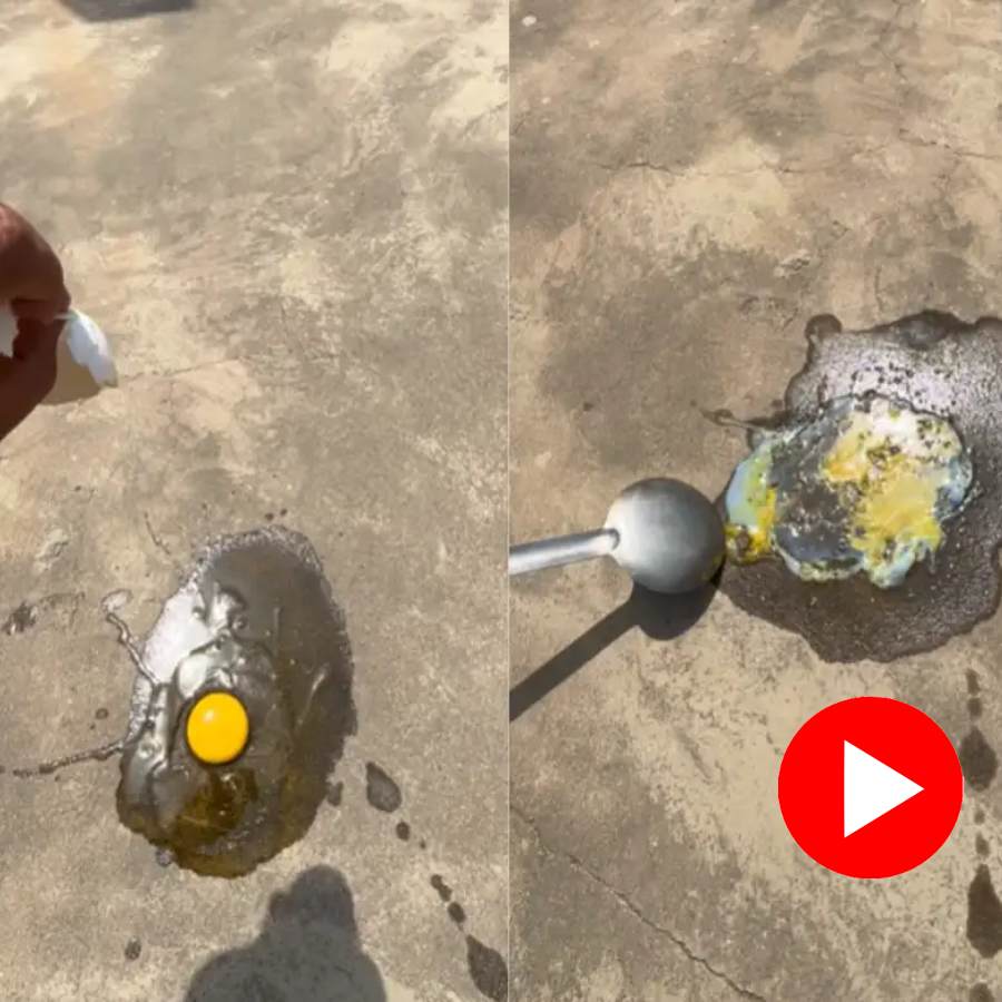 omlet