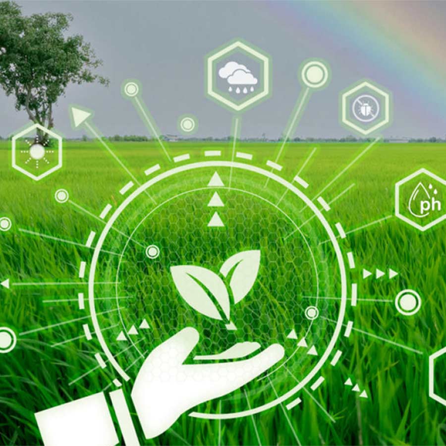 AI based data analytics is showing a new direction to agriculture