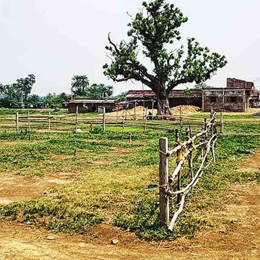 শুনশান রানিবাঁধের ঘোড়াধরার পশুহাট।