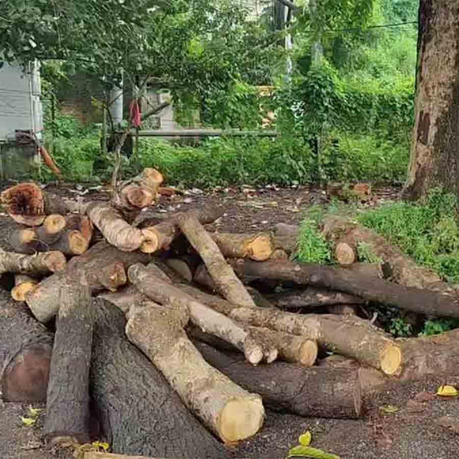 Complain of claiming cutmoney for buying loads of wood
