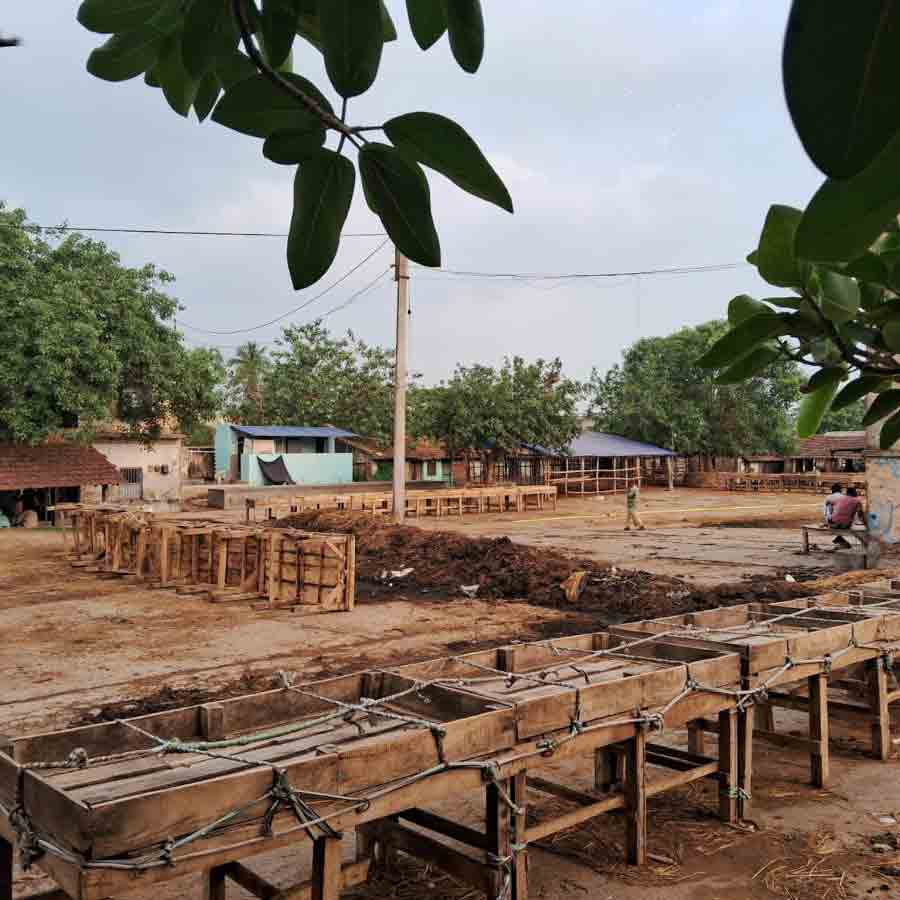 Cattle market are facing huge losses after restriction on cow buy and selling
