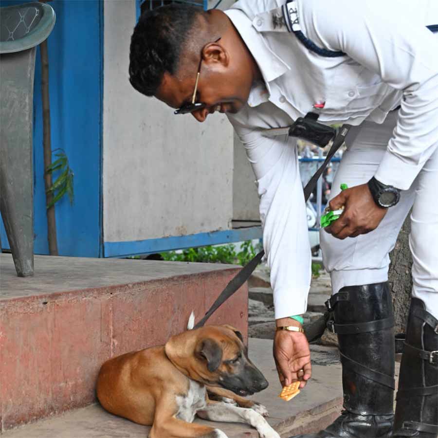 পার্ক সার্কাসের ট্র্যাফিক চৌকিতে ‘ডিঙ্গো’।