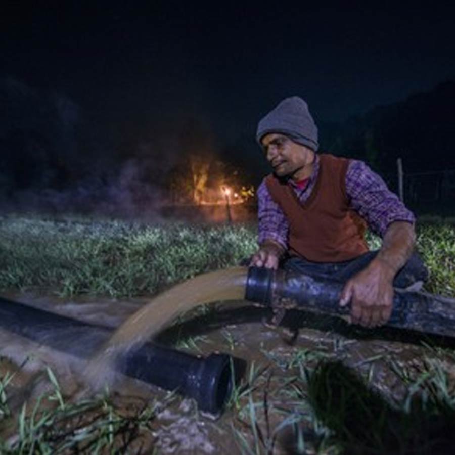 farmer