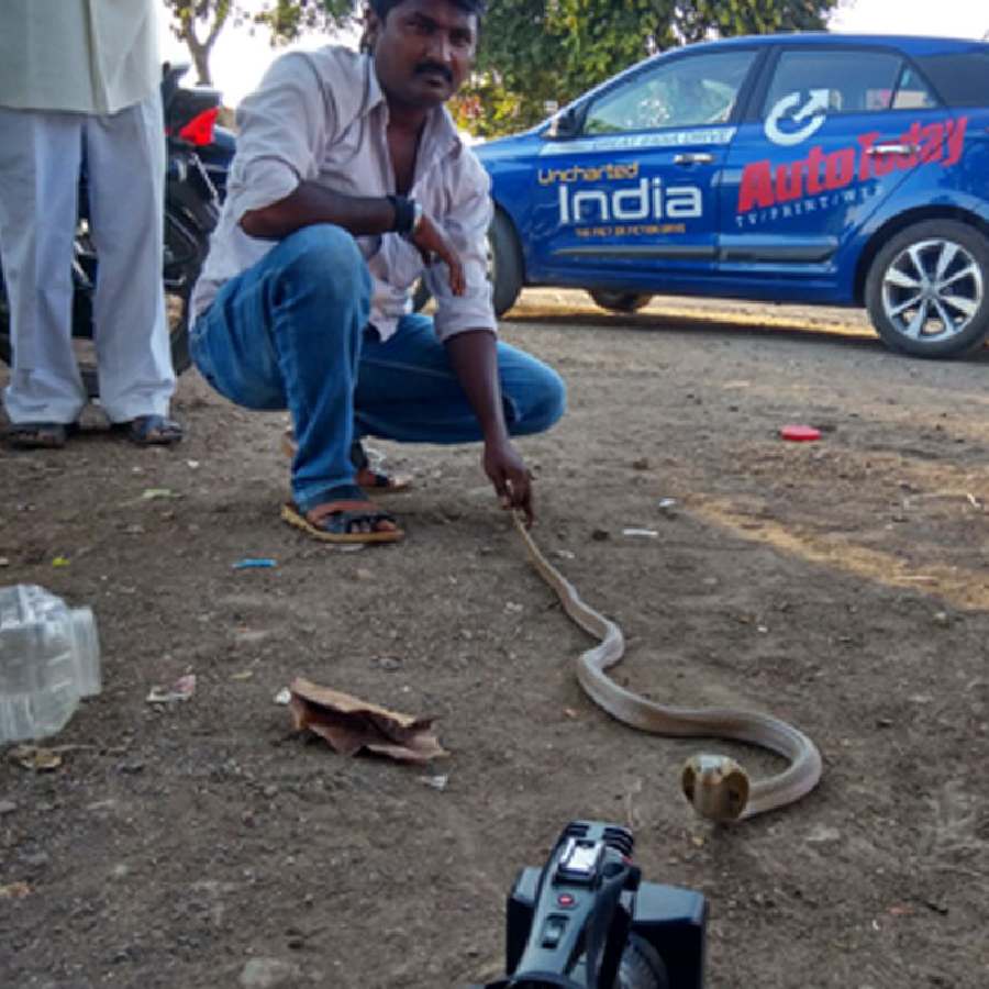 All You Need to Know About Shetphal, Maharashtra’s Famous Snake Village of India