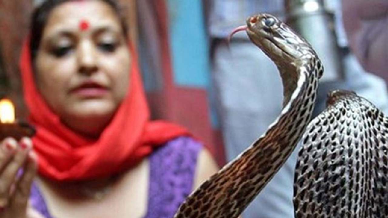 All You Need to Know About Shetphal, Maharashtra’s Famous Snake Village of India