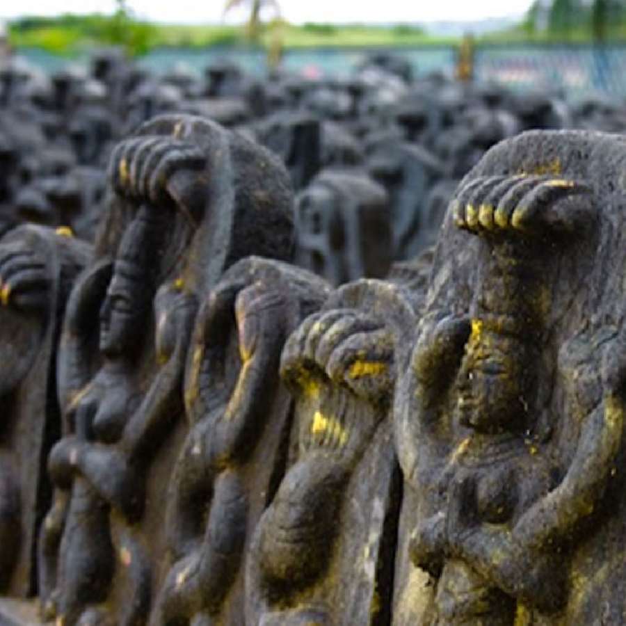 All You Need to Know About Shetphal, Maharashtra’s Famous Snake Village of India