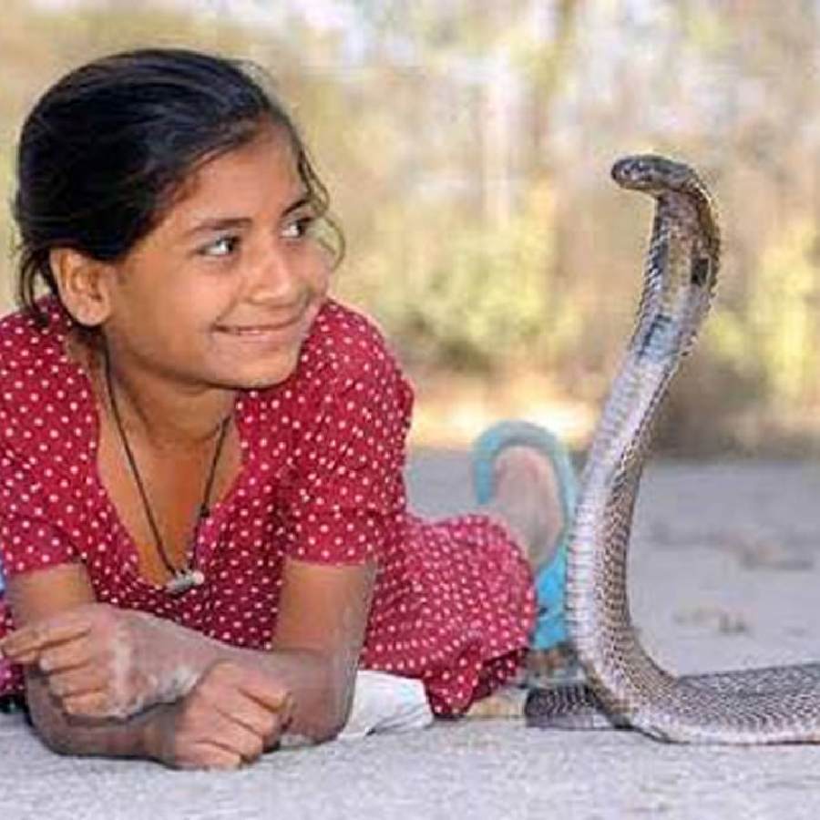 All You Need to Know About Shetphal, Maharashtra’s Famous Snake Village of India