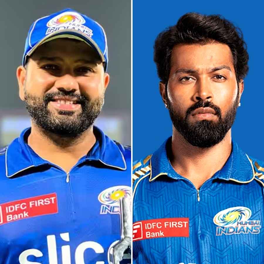 picture of cricket