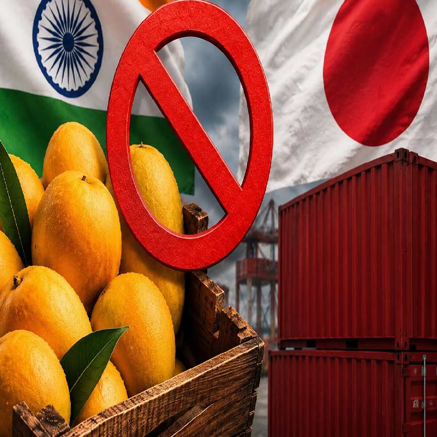 Indian mango exports