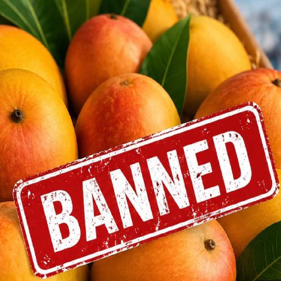 Indian mango exports