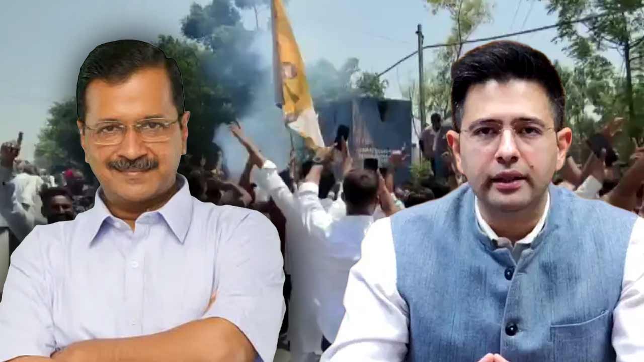 AAP sweeps in Punjab Municipal Election, Congress finishes second