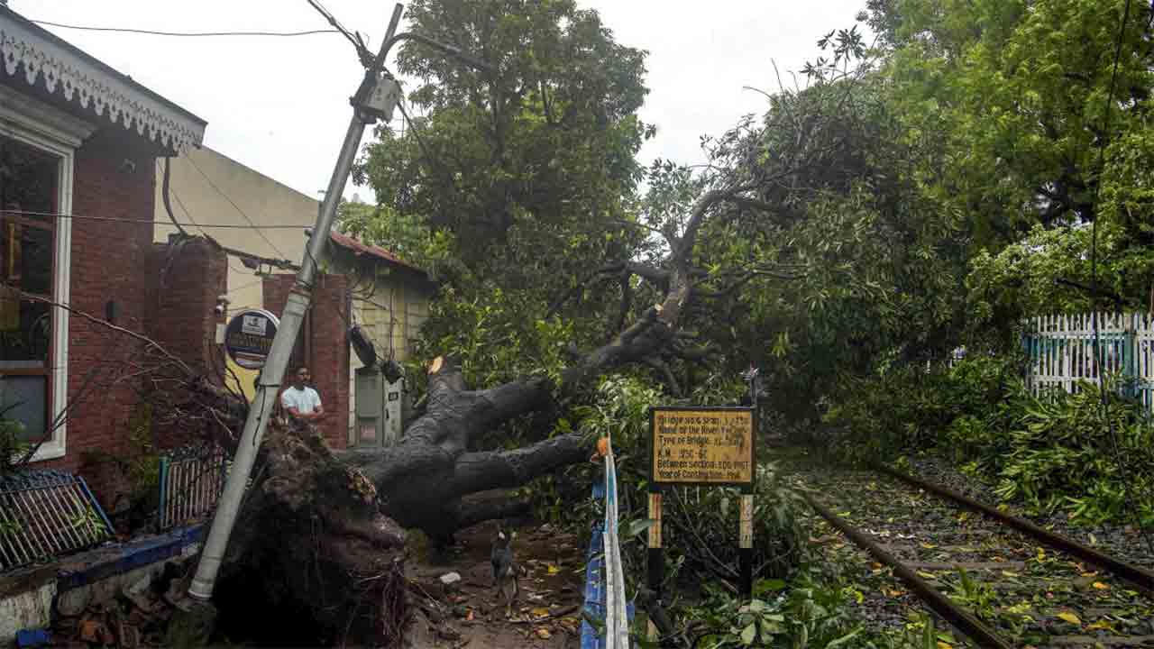শুক্রবারের ঝড়বৃষ্টিতে কলকাতায় রেললাইনের উপরে ভেঙে পড়েছে গাছ।