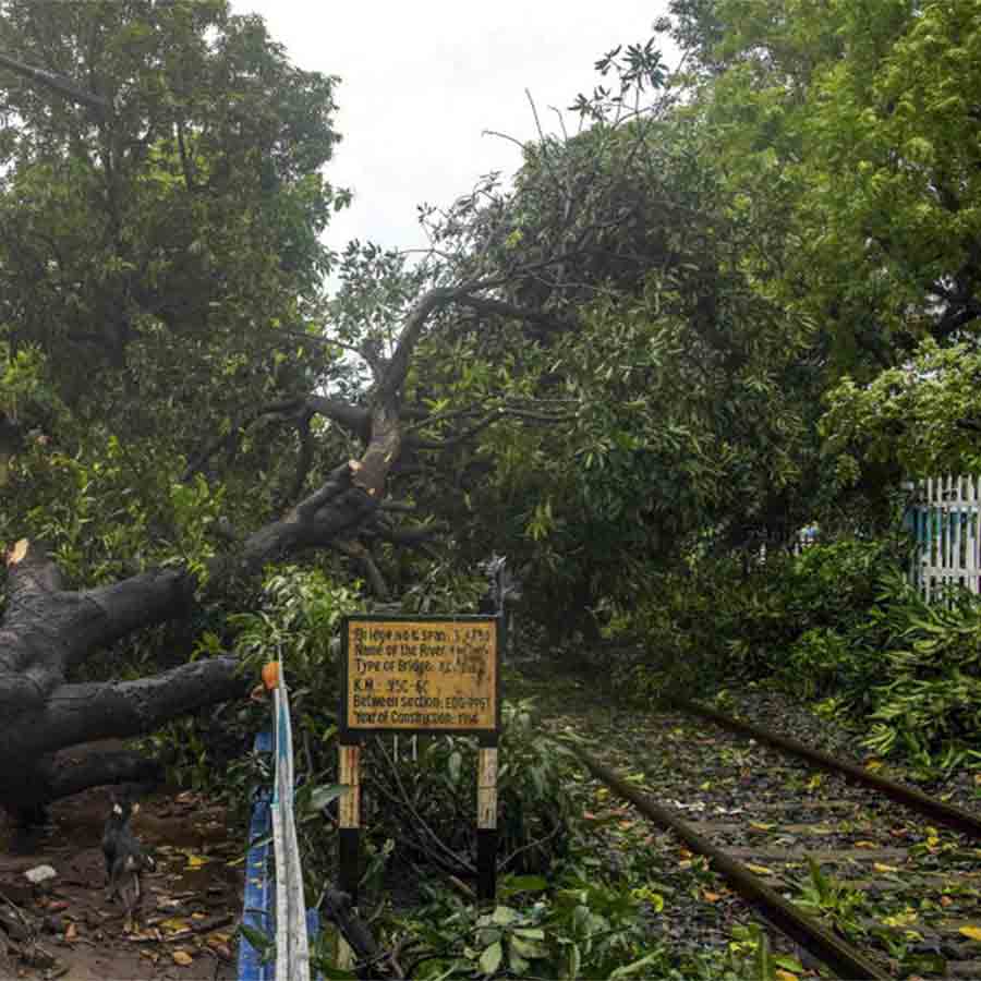 শুক্রবারের ঝড়বৃষ্টিতে কলকাতায় রেললাইনের উপরে ভেঙে পড়েছে গাছ।