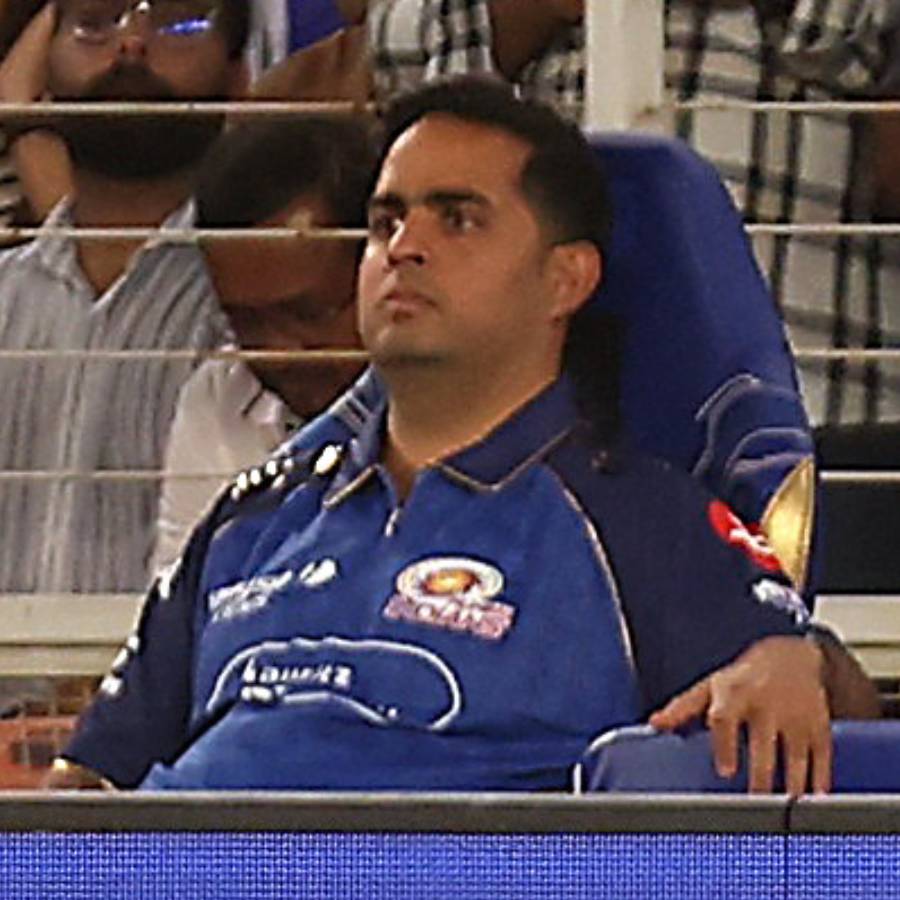 picture of cricket