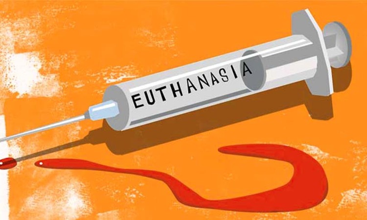 A man demands euthanasia over alleged harassment by wife in Surat