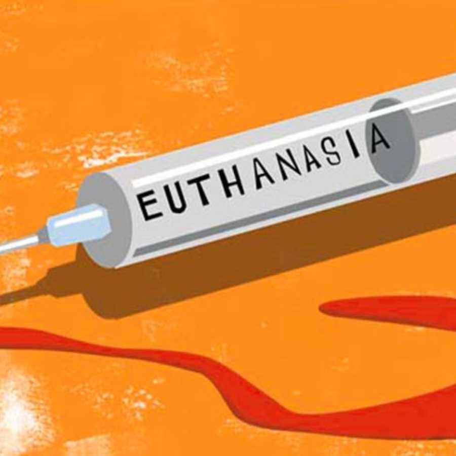 A man demands euthanasia over alleged harassment by wife in Surat