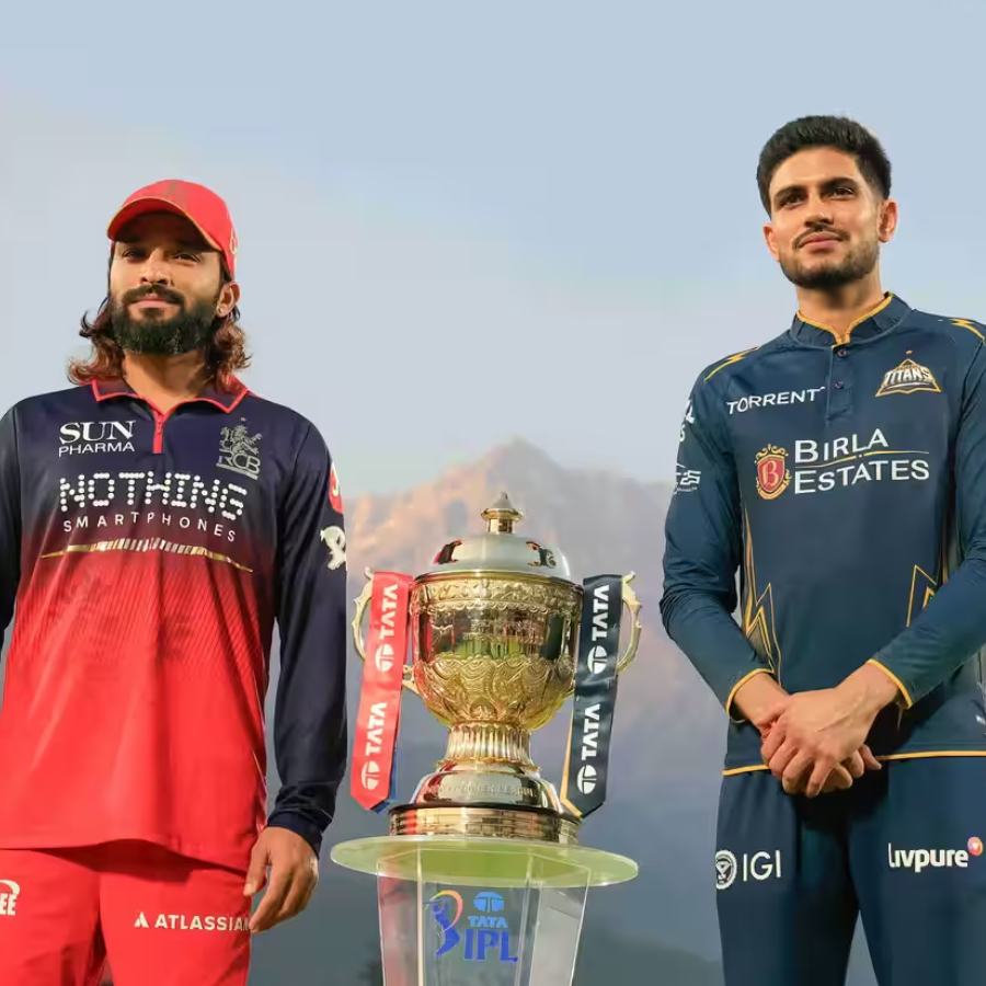 picture of cricket