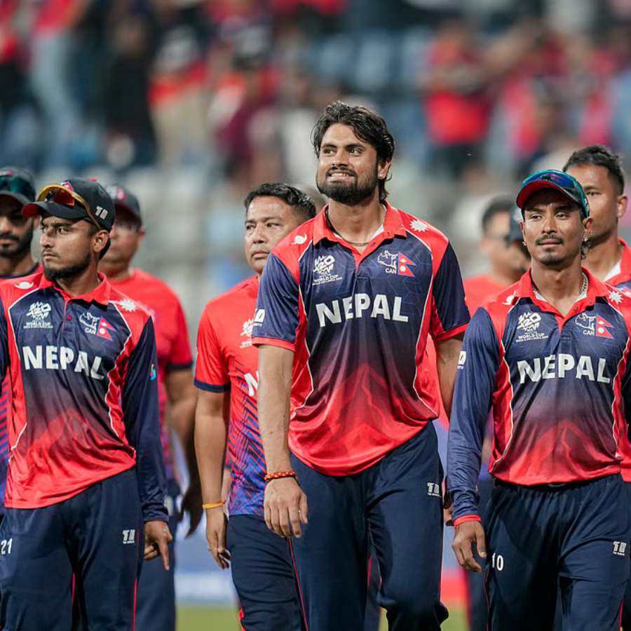 picture of cricket