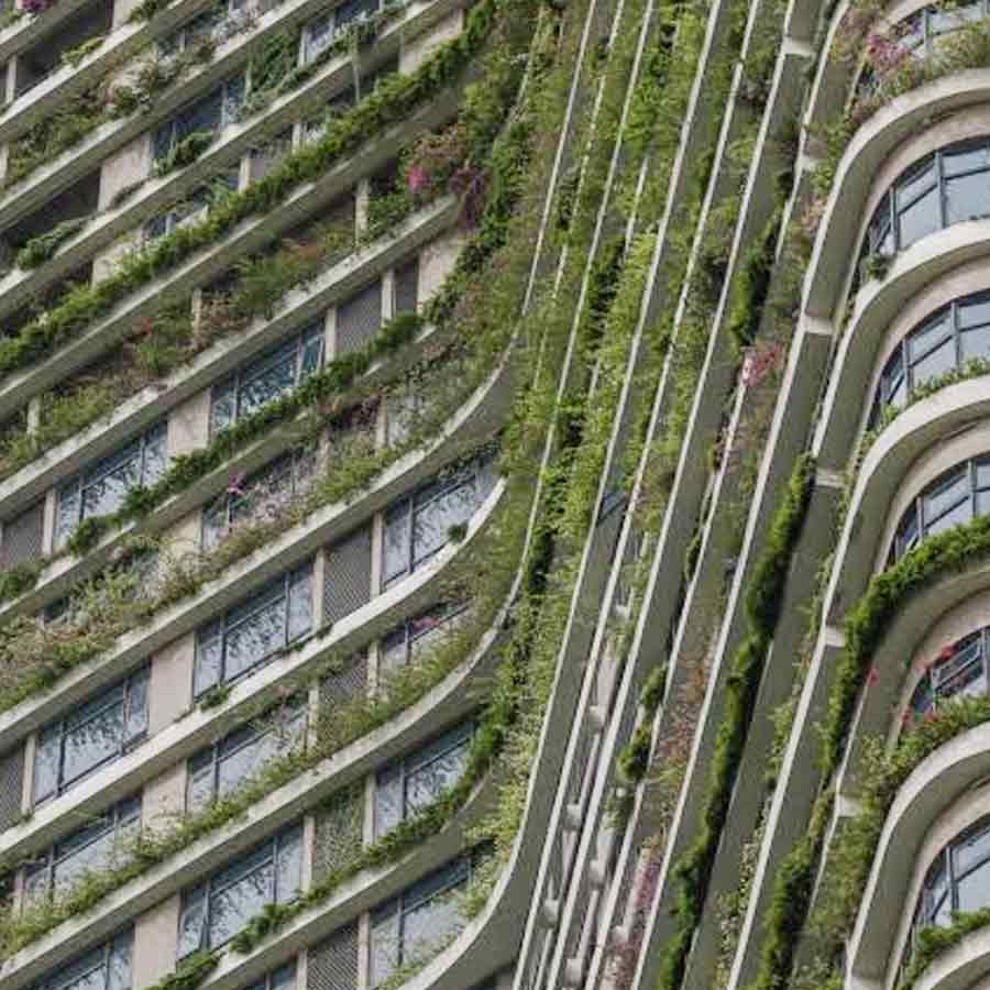 Forest City Malaysia
