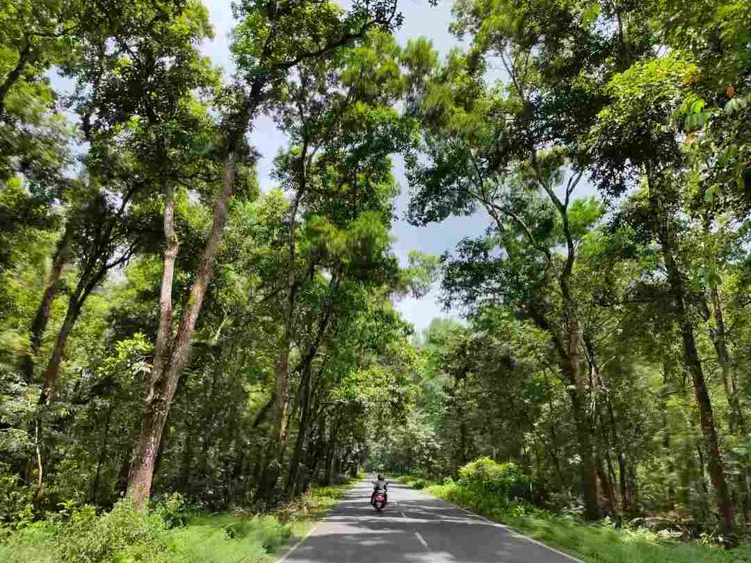 দার্জিলিং-এর মল রোডে ছবি তোলার বদলে বাইক ঘোরান অন্য দিকে। বিজনবাড়ি, সিঙ্গটম, রিম্বিক কিংবা লেপচাজগতের মতো তুলনায় নিরিবিলি পথে ঢুকে পড়ুন। চা-বাগানের ফাঁকফোকর, ছোট্ট পাহাড়ি গ্রাম, কাঠের বাড়ি আর মেঘে ঢাকা রাস্তা— এখানেই পাহাড়ের আসল স্বাদ। স্থানীয় হোমস্টেতে থাকুন। পর্যটক কম, গল্প বেশি। 
