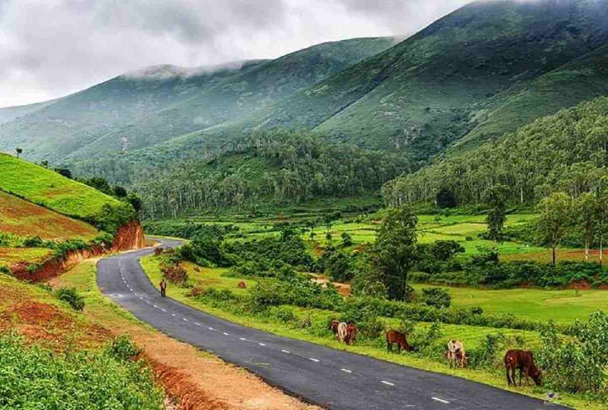 নাগাল্যান্ডে মানচিত্রের বাইরে একটু ঘোরাঘুরি সেরে নিতেই পারেন। কোহিমা থেকে কিসিমা, ফুতসেরো কিংবা জেসামির দিকে যান। এখানে রাস্তাই যেন অনেক সময়ে আপনাকে বলে দেবে— ধীরে চলো, চারপাশটা দেখো। পাহাড়ি গ্রাম, কাঠের বাড়ি, ধোঁয়া ওঠা রান্নাঘর আর প্রায় অচেনা জীবন। থাকতে চাইলে কোহিমায় হস্টেল, ছোট শহর ও গ্রামে স্থানীয় হোমস্টে আছে। পর্যটনস্থল দেখার চেয়ে মানুষের সঙ্গে বসে চা খাওয়াটাই এখানে অন্য রকম এক অভিজ্ঞতা।