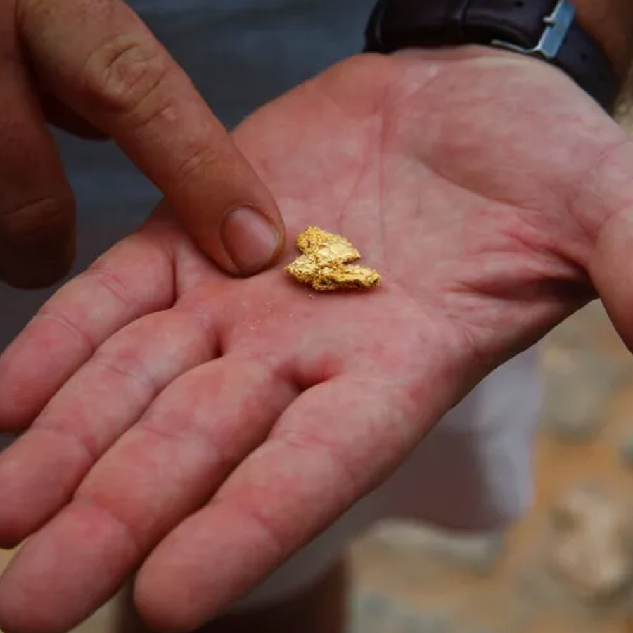 gold investment fraud