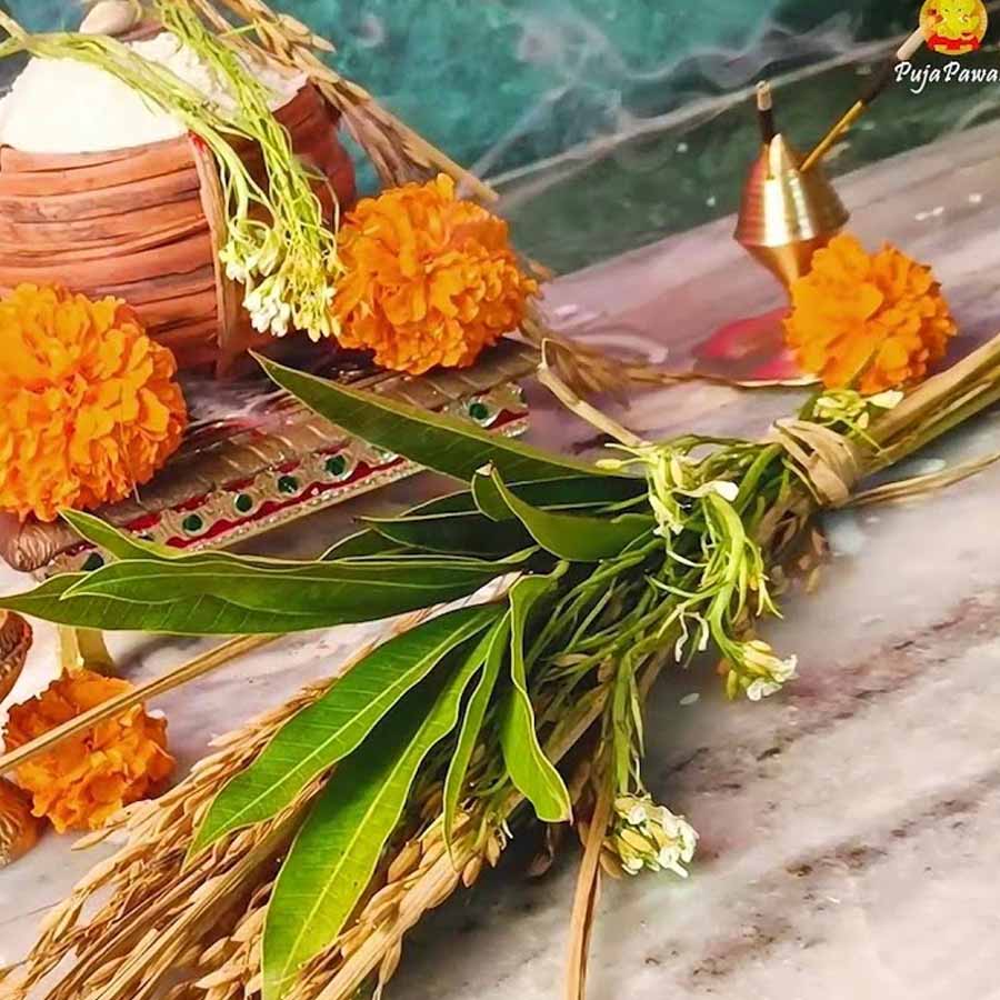 রাঢ় অঞ্চলের অনেক কৃষক পরিবারে কোজাগরী পূর্ণিমা ও নবান্নের সময়ে খেত থেকে ধানের শিষ কেটে এনে ঘরে লক্ষ্মী হিসেবে প্রতিষ্ঠা করা হয়। একে আঞ্চলিক ভাষায় বলা হয় ‘আউনি-বাউনি’। লোকবিশ্বাস অনুযায়ী, এতে গৃহস্থের শস্যভান্ডার কখনও খালি হয় না।