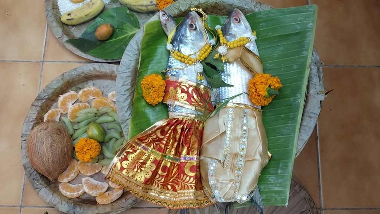 অনেক বাড়িতে কোজাগরী পূর্ণিমায় জোড়া ইলিশকে শিব-পার্বতী বা লক্ষ্মী-নারায়ণের যুগল রূপে পজো করা হয়।