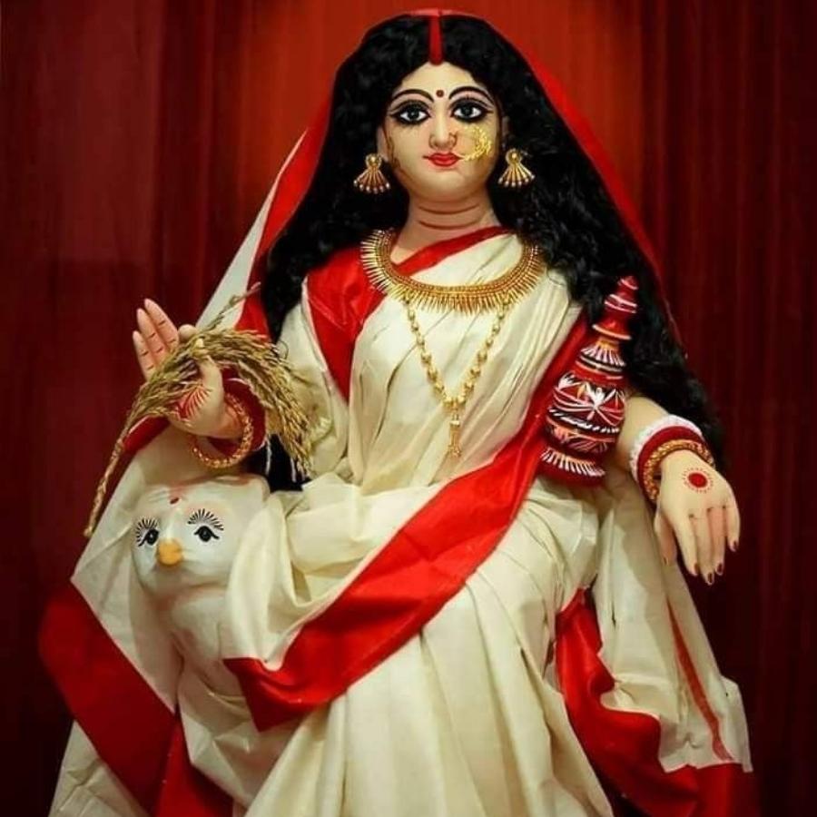 দেবীর চরণে সর্বদা থাকবে রঙিন ফুল। সাদা ফুল ভুলেও নিবেদন করবেন না লক্ষ্মীকে। 