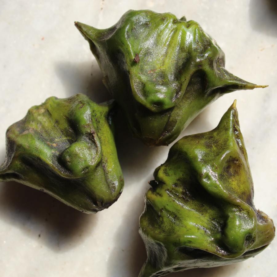পানিফল— লক্ষ্মীদেবীর প্রিয় ফল পানিফল। জলাশয়ে পানিফলের জন্ম। কোজাগরী পূর্ণিমায় ধনদেবীকে পানিফল নিবেদন করতে হয়। 
