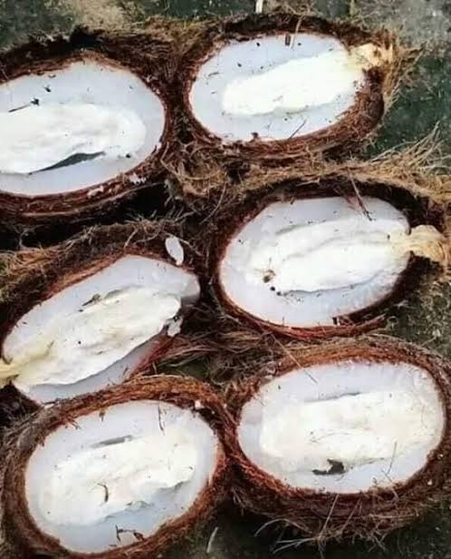 তাল ফোঁপরা— ভাদ্রে তালের রস নিংড়ে নেওয়ার পর পড়ে থাকা আঁটি থেকে ফোঁপরার জন্ম হয়। আশ্বিন-কার্তিক মাসে অঙ্কুরিত আঁটি ভাঙলে বা কাটলে দেখা যায় ভিতরে রয়েছে সাদা বস্তু। যা নাম তালের ফোঁপরা বা তাল ফোঁপর। কোজাগরী লক্ষ্মীপুজোয় তালের ফোঁপরা দেওয়ার রেওয়াজ রয়েছে। 