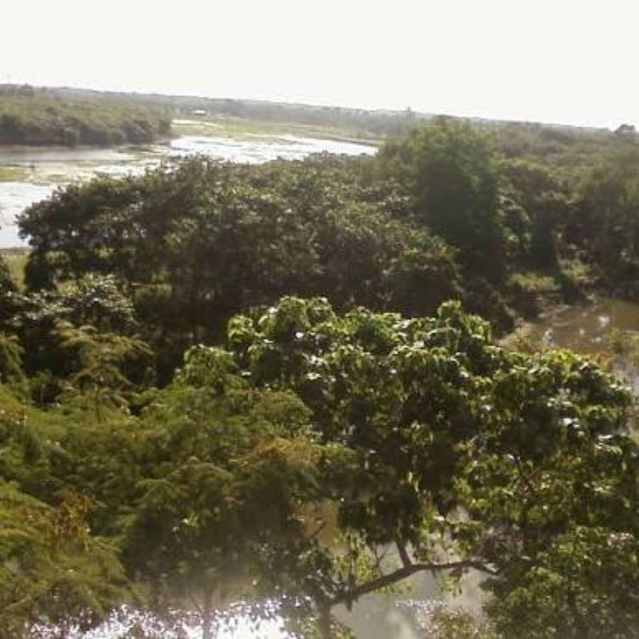 তার পরে সোজা রসিকবিল। পাখি দেখতে ভালবাসলে হাতে সময় নিয়ে যান। জলাশয় আর আশপাশের সবুজে নানা প্রজাতির পাখির আনাগোনা। তবে পাখিরা যে আপনার বেড়ানোর সূচি মেনে হাজির হবে, এমন নিশ্চয়তা নেই!