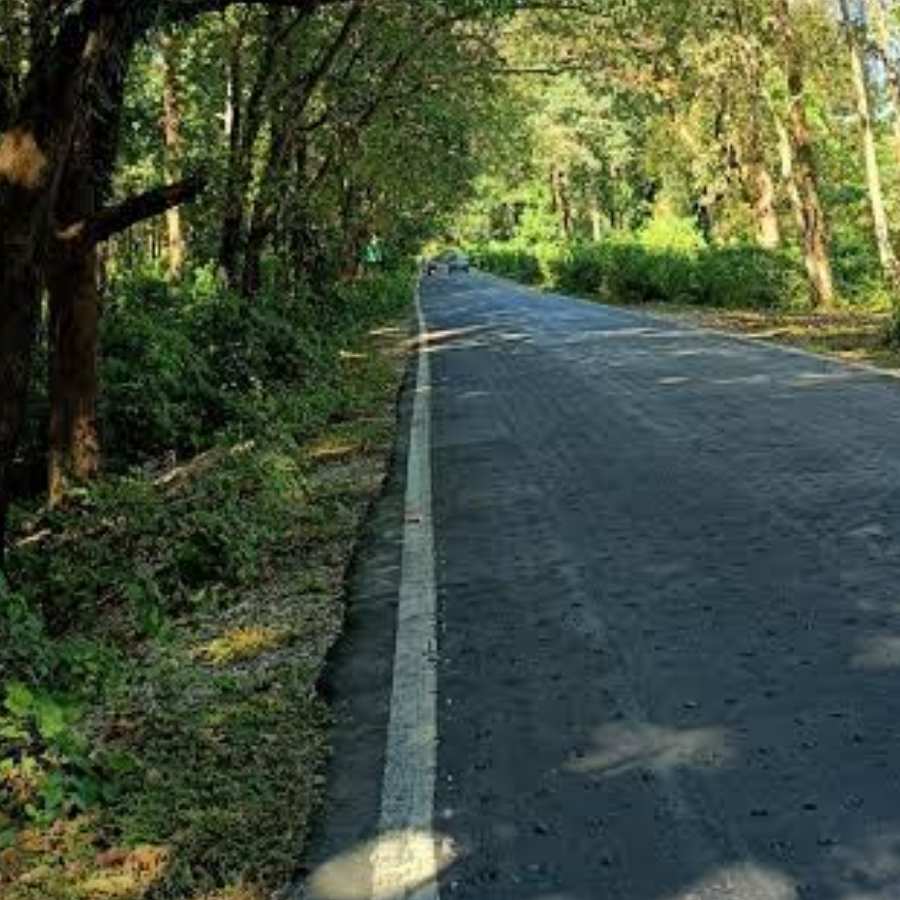 চতুর্থ দিন চলুন চিলাপাতা। কোচবিহারের শহুরে পরিবেশ থেকে একেবারে অন্য জগৎ! রাস্তার দু’পাশে ঘন বন। তার কোথাও রোদ, কোথাও অন্ধকার। সাফারিতে কিন্তু অবশ্যই যাবেন। হাতি বা গণ্ডারের দেখা পাওয়া ভাগ্যের ব্যাপার। কিন্তু জঙ্গলের মধ্যে দিয়ে জিপের সফরটা মনে থেকে যাবে।