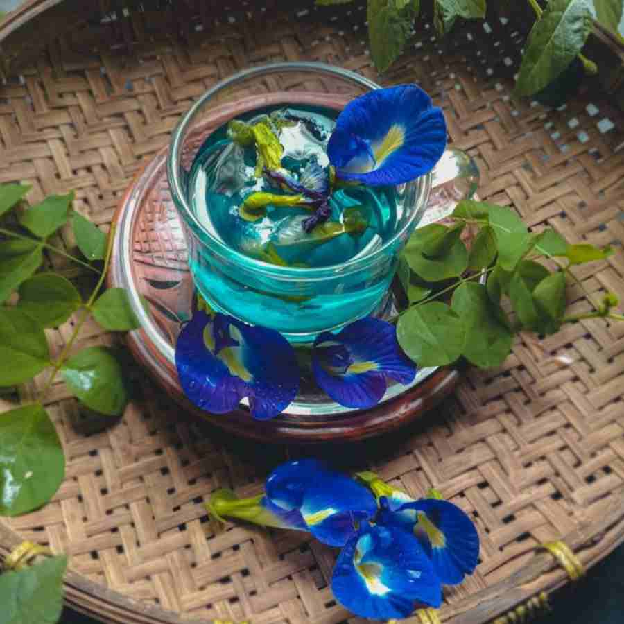 অপরাজিতা চা শরীরের জন্য ভাল বলেই দাবি করা হয়।