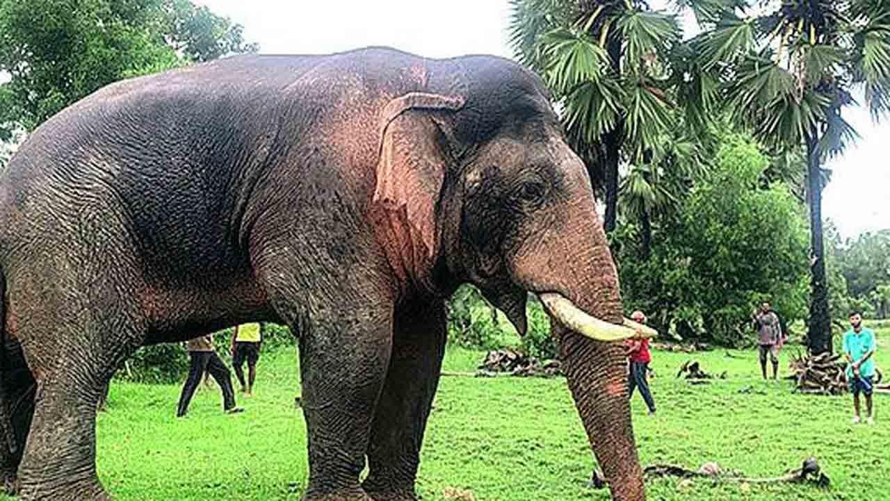 বার বার বাতের ব্যথায় কাবু রামলাল