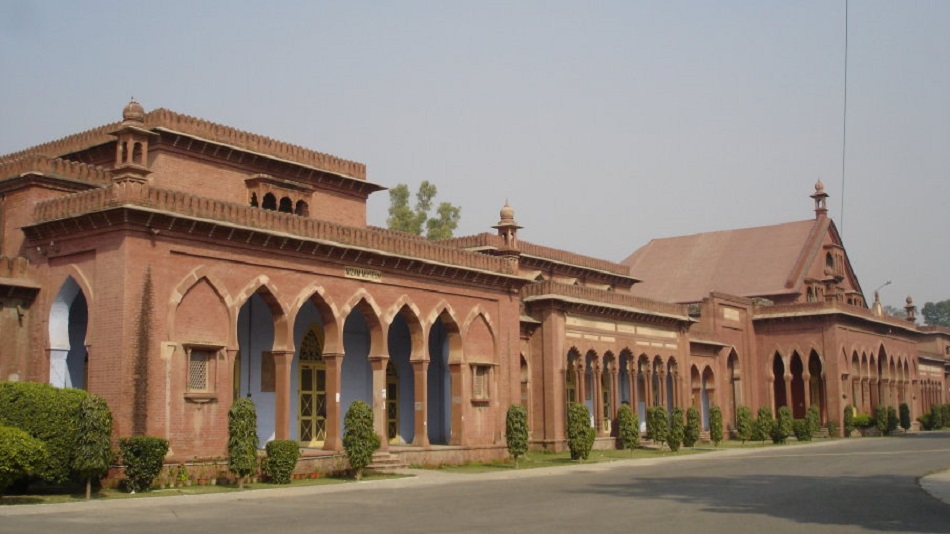 Aligarh Muslim University: 180 students get job offers at online fair