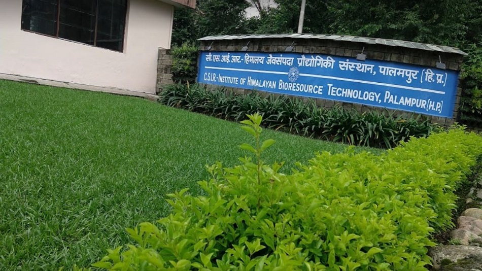 Plants growing under excessive exposure to heat result in reduced agriculture and threaten food supply across the world. PHOTO: Facebook