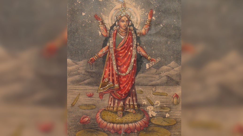 আগ্নেয়গিরির গলন্ত লাভার মতো গাত্রবর্ণ। দেবী ভৈরবীর ত্রিনয়নের
ভয়াবহতাকে বাড়িয়ে দেয় তাঁর হাঁটু অবধি বিস্তৃত খোলা চুল। বিষধর সাপ,
নরমুণ্ড এবং কাটা হাত তাঁরও সজ্জার অঙ্গ। তাঁর পরনের বস্ত্র সাধারণত লাল
বা নীল। তন্ত্রসাধনার এই দেবীর অঙ্গভূষণ বিষধর সাপ। দশ মহাবিদ্যার পঞ্চম
দেবীর সালঙ্কারা রূপ কার্যত নেই।