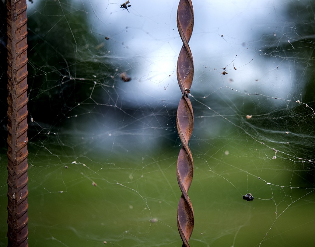 মাকড়সার জাল: এটি যে শুধু ঘর নোংরা করে তা-ই নয়, সঙ্গে আপনার দুর্ভাগ্যকেও বহন করে। তাই মায়ের আগমনের আগে ঘর থেকে মাকড়সার জাল সরিয়ে ফেলুন।