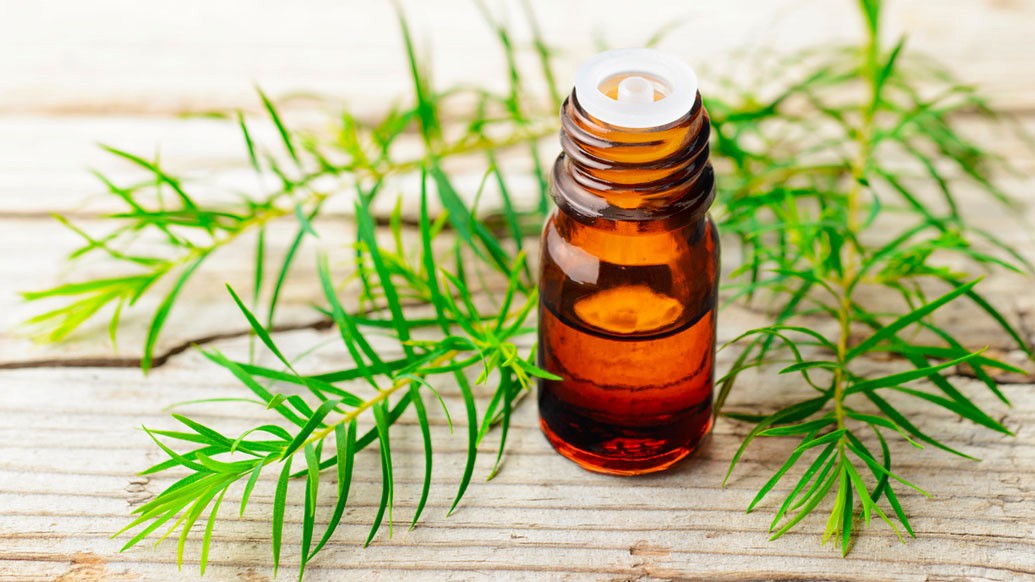 ফ্লাক্সসিড অয়েল: শরীরে বিপাক ক্রিয়ার হার বাড়িয়ে ডিটক্স করতে সাহায্য করে ফ্লাক্সসিড অয়েল। শরীর তরতাজা থাকলে বাড়বে রোগ প্রতিরোধশক্তি। তবেই তো ঝকঝকে লাগবে আপনাকে।