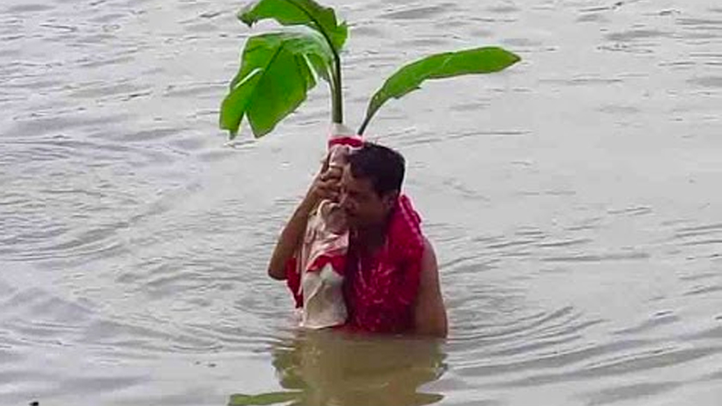 দুর্গাপুজোয় কলা বউ স্নান অন্যতম একটি শাস্ত্রীয় বিধি। কলা বউ অর্থাৎ নবপত্রিকা। নবপত্রিকার জন্ম হয়েছিল কীভাবে জানেন?