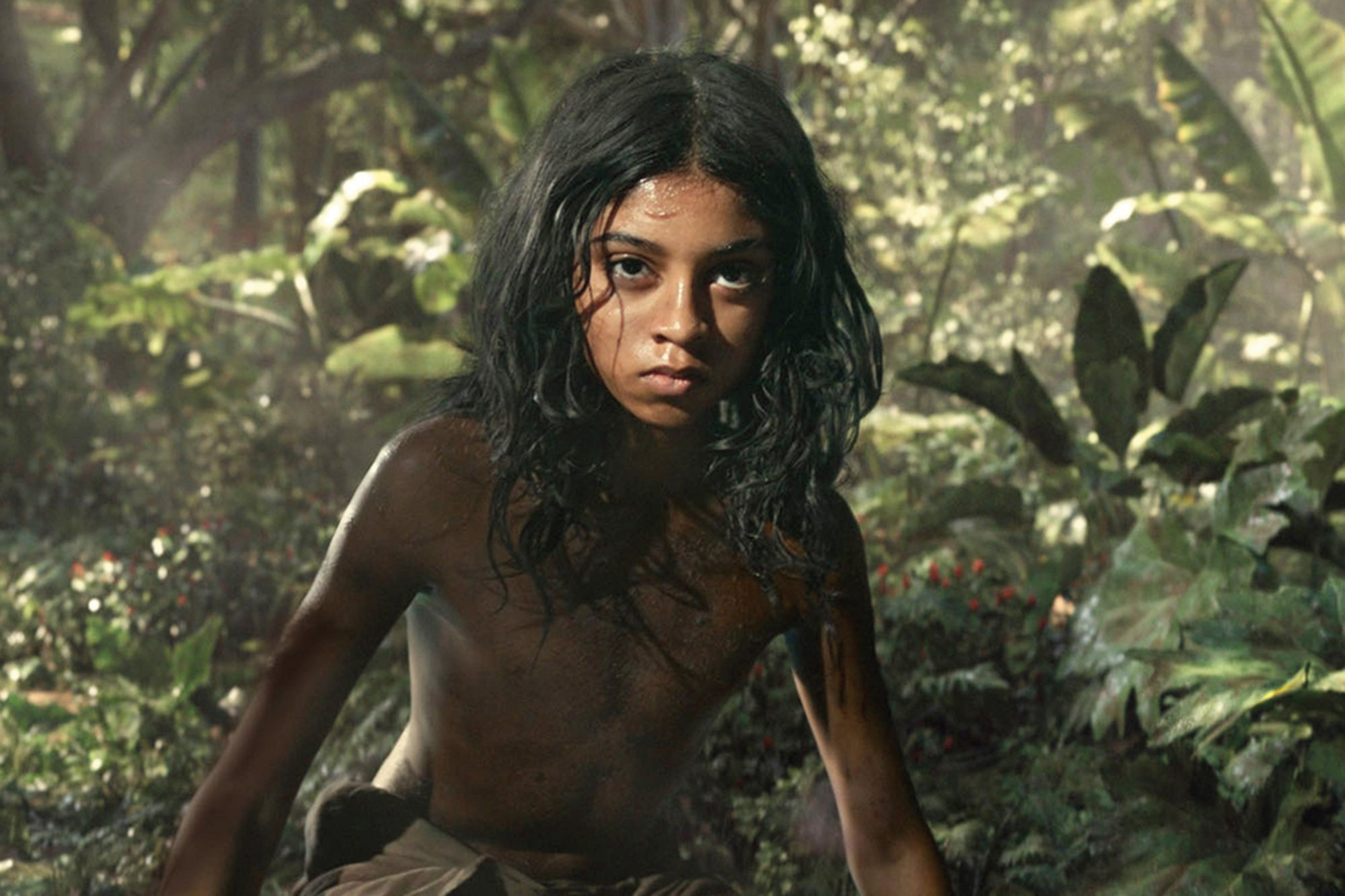 Rohan Chand in Mowgli