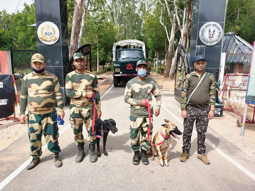 Gorumara National Park | Trained dogs for Gorumara & Sunderbans ...