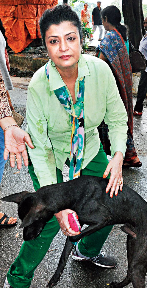 Rescued from sticks of death - Faces of cruelty and affection - Telegraph  India