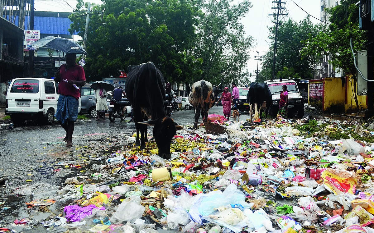 Waste project to roll again - Telegraph India