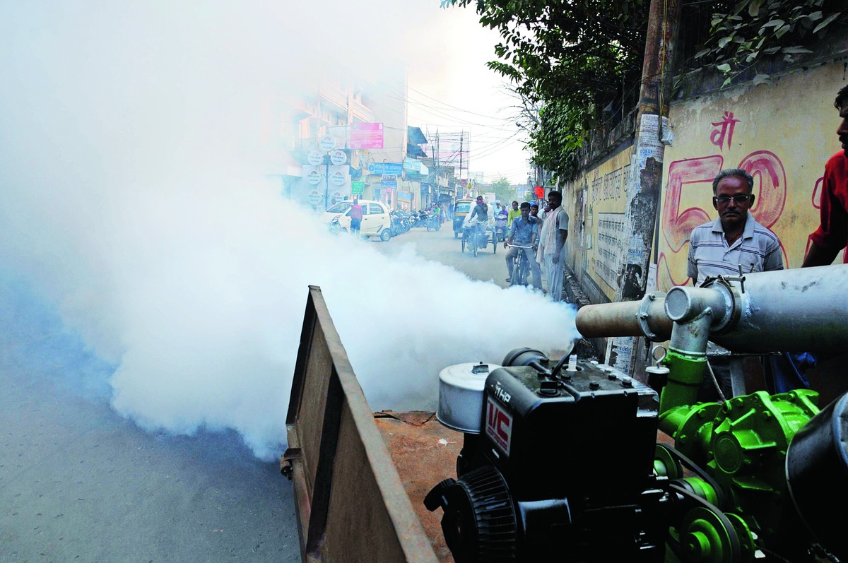 Dos and don'ts for dengue fight - Telegraph India