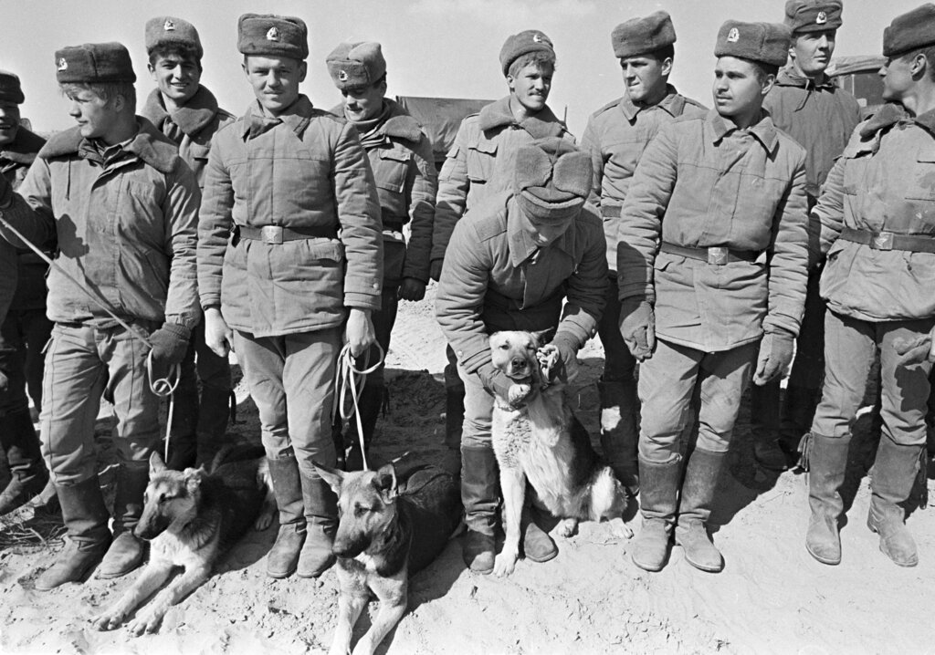 Soviet Army soldiers with their war-dogs line up after their unit crossed a bridge on the border between Afghanistan and then Soviet Uzbekistan near the Uzbek town of Termez, Uzbekistan, on February 15, 1989. When the last Soviet tanks rumbled back home across a bridge on the border with Afghanistan 30 years ago, the withdrawal was hailed as a much-anticipated end to a bloody quagmire.